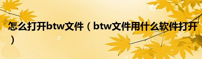 怎么打开btw文件（btw文件用什么软件打开）