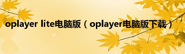 oplayer lite电脑版（oplayer电脑版下载）