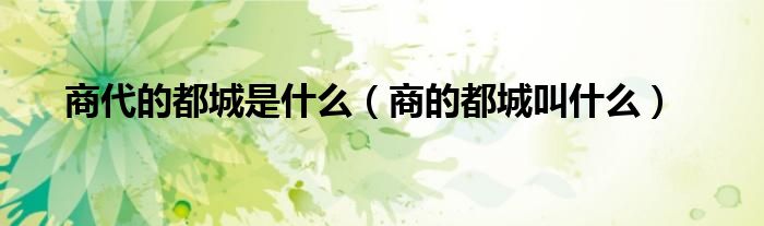 商代的都城是什么（商的都城叫什么）