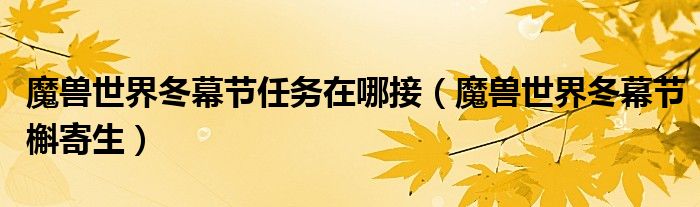魔兽世界冬幕节任务在哪接（魔兽世界冬幕节槲寄生）