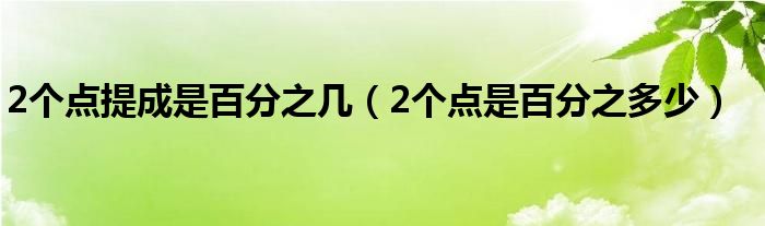 2个点提成是百分之几（2个点是百分之多少）