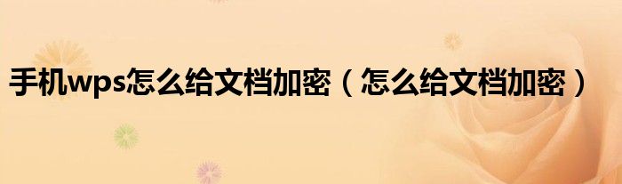 手机wps怎么给文档加密（怎么给文档加密）