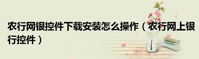 农行网银控件下载安装怎么操作（农行网上银行控件）