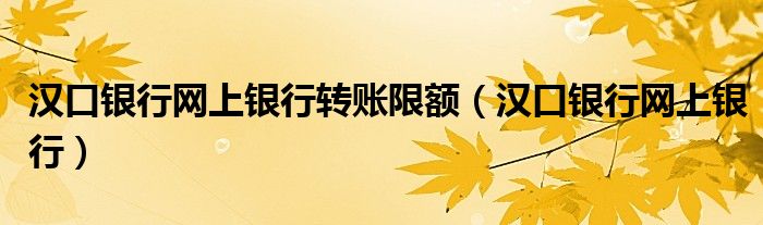 汉口银行网上银行转账限额（汉口银行网上银行）