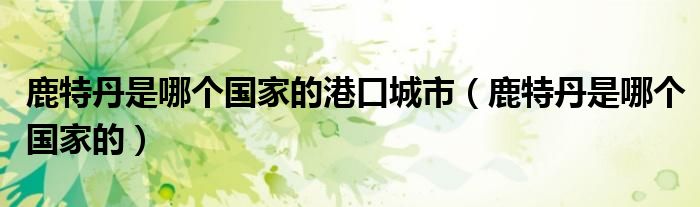 鹿特丹是哪个国家的港口城市（鹿特丹是哪个国家的）