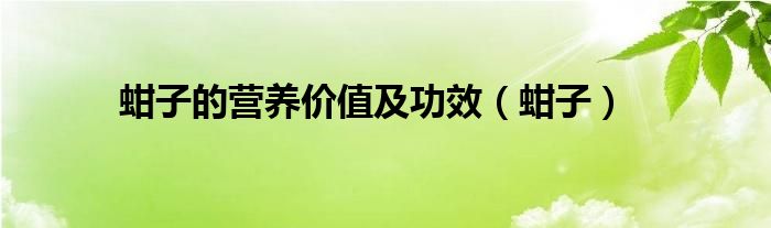 蚶子的营养价值及功效（蚶子）