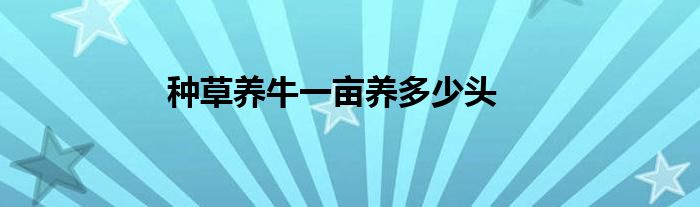 种草养牛一亩养多少头