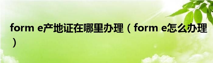 form e产地证在哪里办理（form e怎么办理）