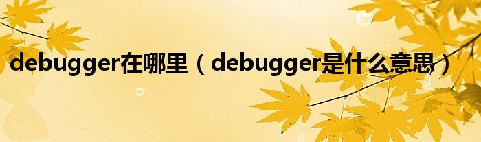 debugger在哪里（debugger是什么意思）