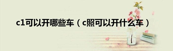 c1可以开哪些车（c照可以开什么车）
