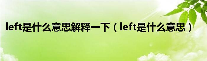 left是什么意思解释一下（left是什么意思）