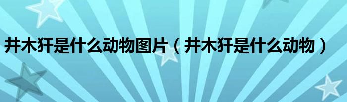 井木犴是什么动物图片（井木犴是什么动物）