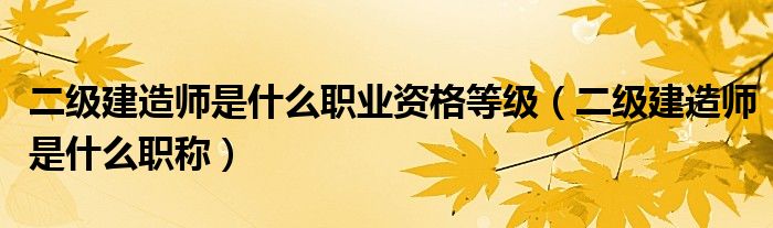 二级建造师是什么职业资格等级（二级建造师是什么职称）