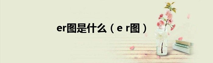 er图是什么（e r图）