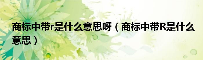 商标中带r是什么意思呀（商标中带R是什么意思）