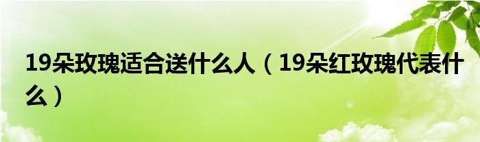 19朵玫瑰适合送什么人（19朵红玫瑰代表什么）