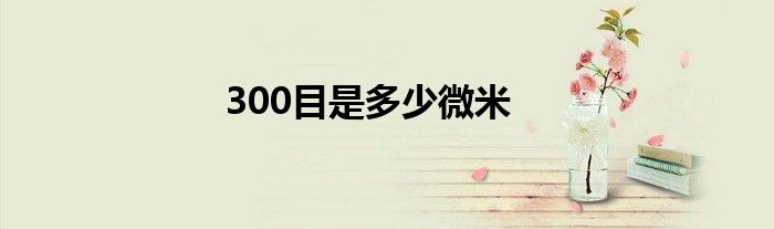 300目是多少微米