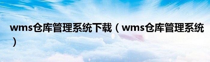 wms仓库管理系统下载（wms仓库管理系统）