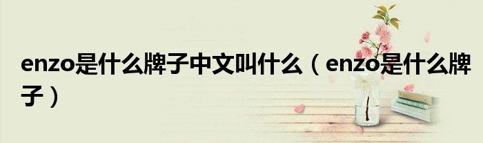 enzo是什么牌子中文叫什么（enzo是什么牌子）