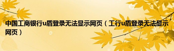 中国工商银行u盾登录无法显示网页（工行u盾登录无法显示网页）