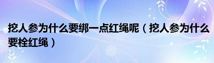挖人参为什么要绑一点红绳呢（挖人参为什么要栓红绳）