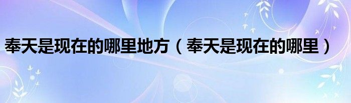 奉天是现在的哪里地方（奉天是现在的哪里）