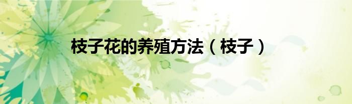 枝子花的养殖方法（枝子）