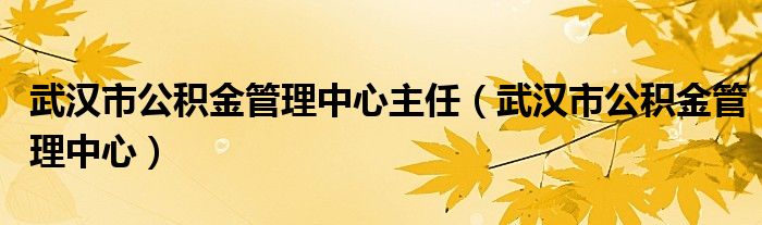 武汉市公积金管理中心主任（武汉市公积金管理中心）