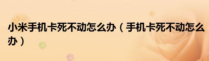 小米手机卡死不动怎么办（手机卡死不动怎么办）