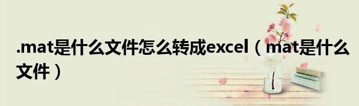 .mat是什么文件怎么转成excel（mat是什么文件）