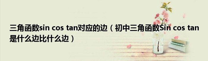 三角函数sin cos tan对应的边（初中三角函数Sin cos tan是什么边比什么边）