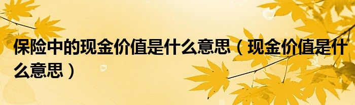 保险中的现金价值是什么意思（现金价值是什么意思）