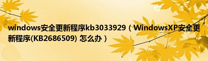 windows安全更新程序kb3033929（WindowsXP安全更新程序(KB2686509) 怎么办）