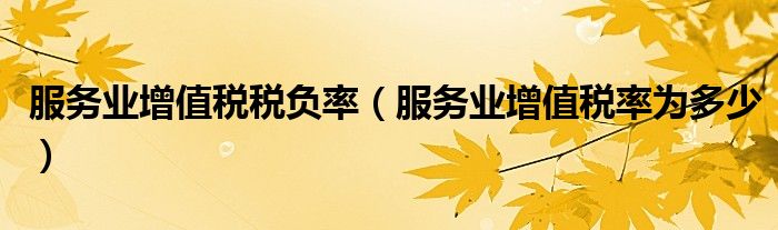 服务业增值税税负率（服务业增值税率为多少）