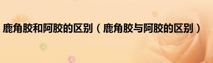 鹿角胶和阿胶的区别（鹿角胶与阿胶的区别）