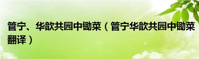 管宁、华歆共园中锄菜（管宁华歆共园中锄菜翻译）