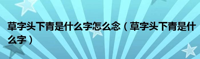 草字头下青是什么字怎么念（草字头下青是什么字）