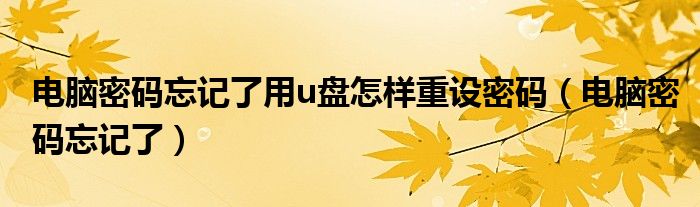 电脑密码忘记了用u盘怎样重设密码（电脑密码忘记了）