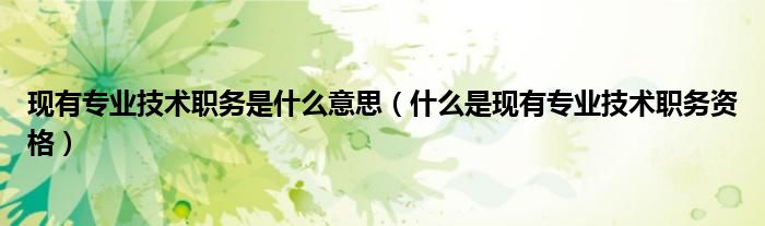 现有专业技术职务是什么意思（什么是现有专业技术职务资格）