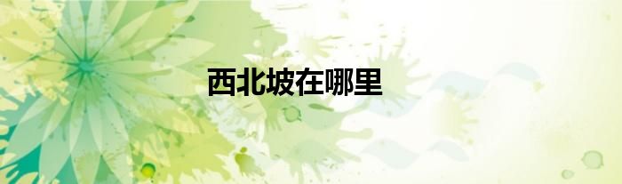 西北坡在哪里