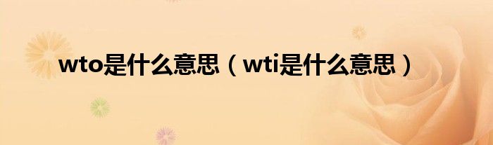 wto是什么意思（wti是什么意思）