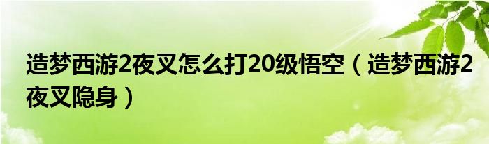 造梦西游2夜叉怎么打20级悟空（造梦西游2夜叉隐身）