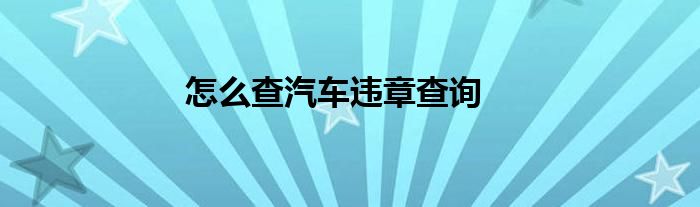 怎么查汽车违章查询