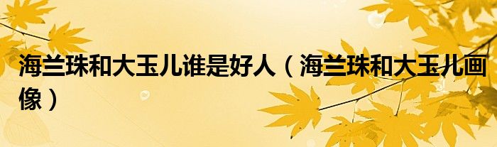 海兰珠和大玉儿谁是好人（海兰珠和大玉儿画像）