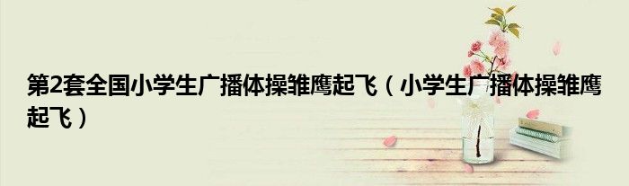第2套全国小学生广播体操雏鹰起飞（小学生广播体操雏鹰起飞）