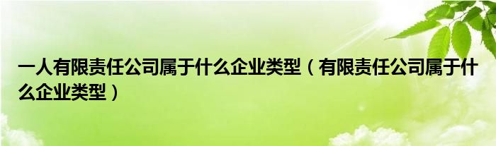 一人有限责任公司属于什么企业类型（有限责任公司属于什么企业类型）