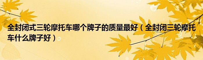 全封闭式三轮摩托车哪个牌子的质量最好（全封闭三轮摩托车什么牌子好）