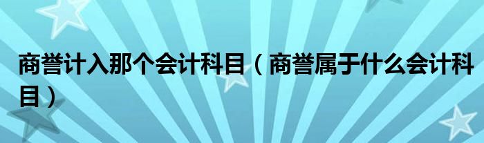 商誉计入那个会计科目（商誉属于什么会计科目）