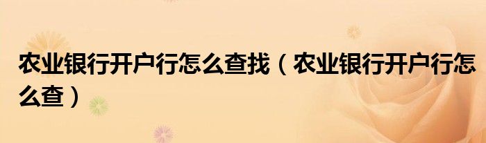 农业银行开户行怎么查找（农业银行开户行怎么查）