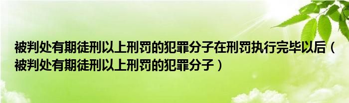 被判处有期徒刑以上刑罚的犯罪分子在刑罚执行完毕以后（被判处有期徒刑以上刑罚的犯罪分子）